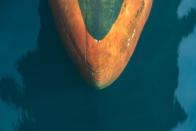 High angle view of leaf floating on sea