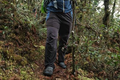 Low section of man standing in forest