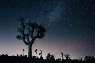 Low angle view of silhouette trees against sky at night