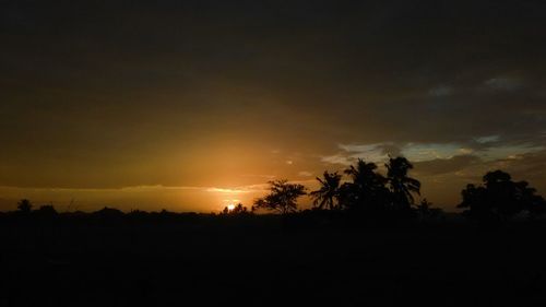 Silhouette of trees at sunset