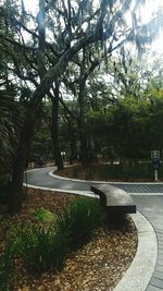 Empty road in park