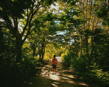 Rear view full length of man walking amidst trees on road at forest