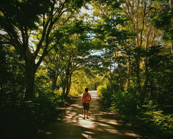 Full length rear view of man walking in forest