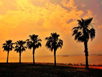 Silhouette palm trees on beach against sky during sunset