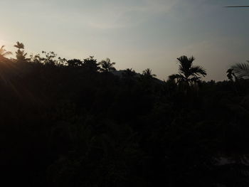 Silhouette palm trees against sky during sunset