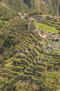 High angle view of agricultural field