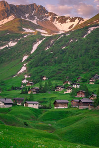 Scenic view of grassy field and houses in village