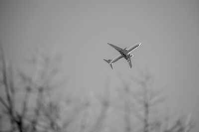 Low angle view of airplane flying in sky