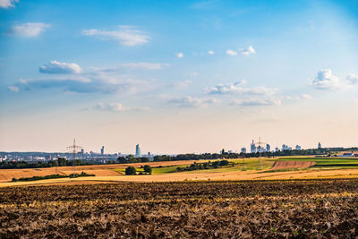 Scenic view of agricultural field against sky