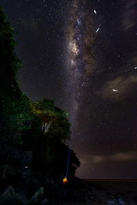 Low angle view of trees against star field at night