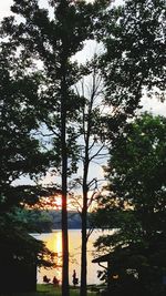 Silhouette trees in forest against sky