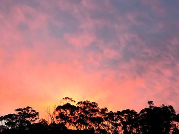 Low angle view of silhouette trees against dramatic sky