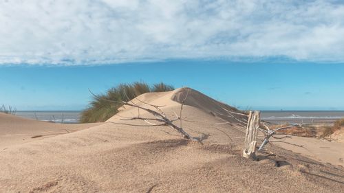 Scenic view of beach against sky