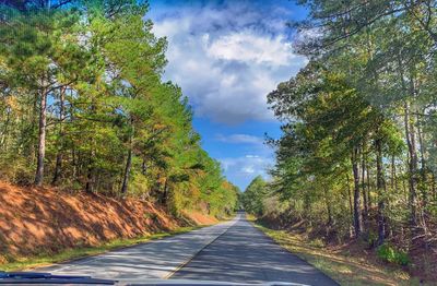 Empty road amidst trees against sky