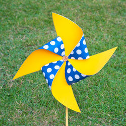 Close-up of yellow butterfly on field