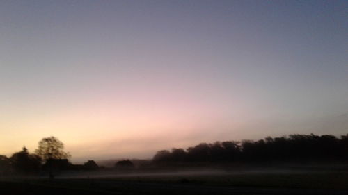 Silhouette trees on field against clear sky during sunset