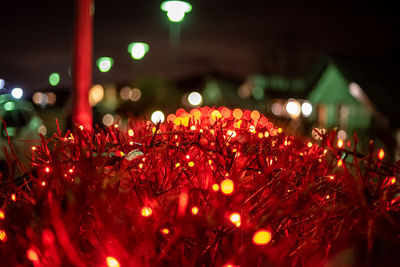 Close-up of illuminated christmas lights at night