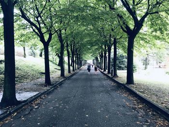 People walking on road amidst trees in city