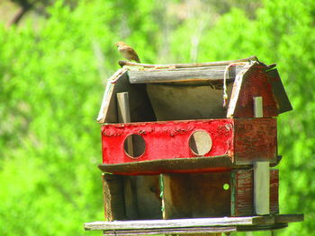 Close-up of birdhouse on a field