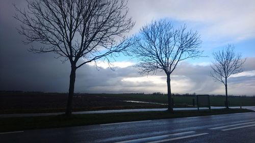 Bare tree on road against sky