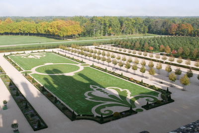 High angle view of formal garden