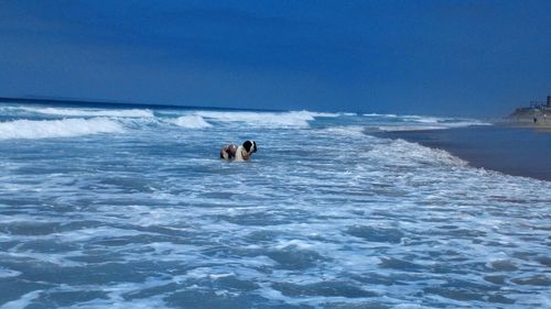 People swimming in sea