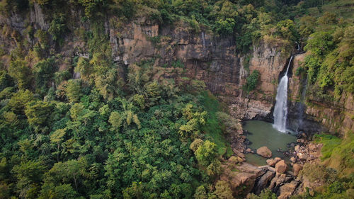 Scenic view of waterfall in forest