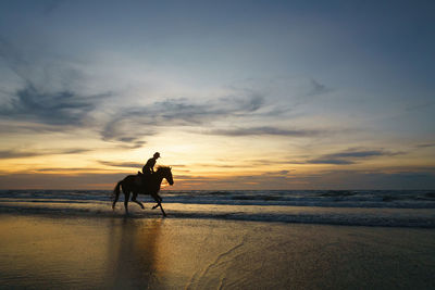 Silhouette man riding horse on beach against sky