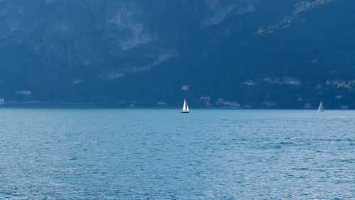 Sailboat sailing in sea