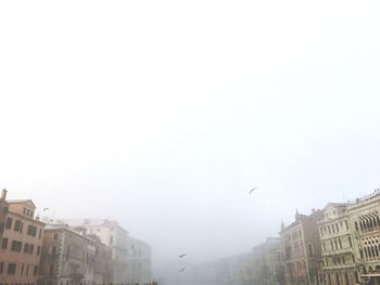 Birds flying over city against sky