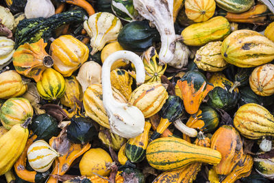 Full frame shot of pumpkins in market