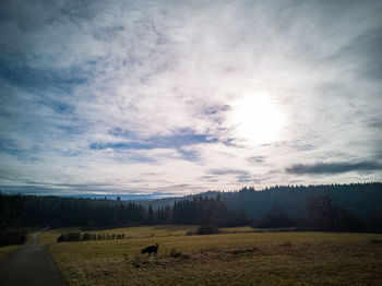 Scenic view of field against sky