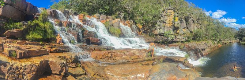 View of waterfall along trees