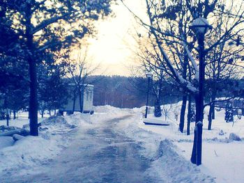 Bare trees on snow covered landscape