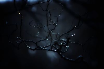 Full frame shot of water drops on leaf