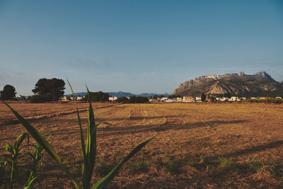 Scenic view of farm against sky