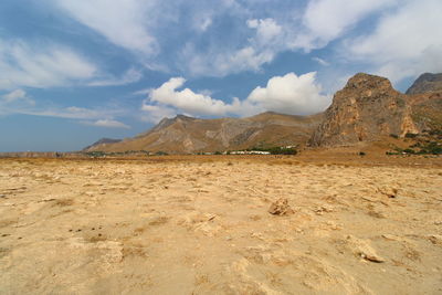 Scenic view of a wild landscape