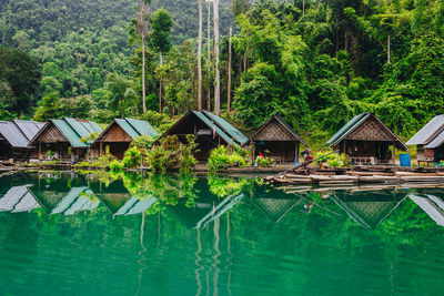 Plants by swimming pool by lake in forest