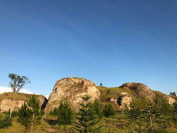 Scenic view of landscape against clear blue sky