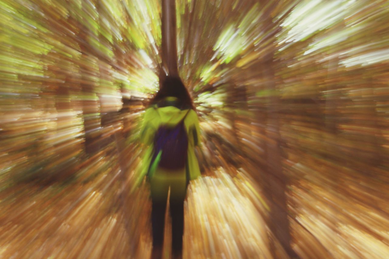 blurred motion, motion, full frame, long exposure, speed, backgrounds, multi colored, nature, green color, no people