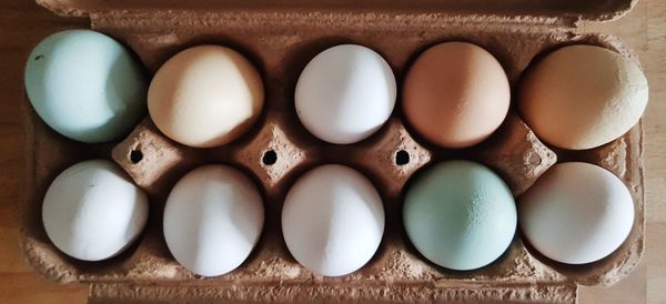 Directly above shot of eggs in container