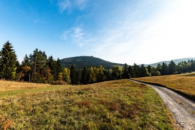 Scenic view of landscape against sky