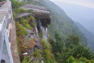 Scenic view of waterfall in forest