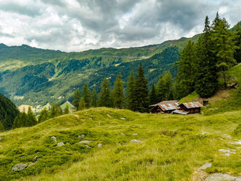 Scenic view of landscape and mountains against sky