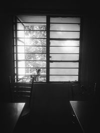 Empty chairs and tables in glass window