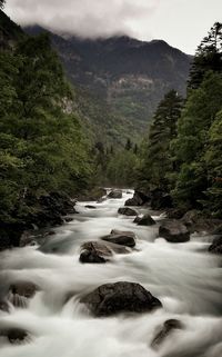 Scenic view of stream flowing through rocks in forest