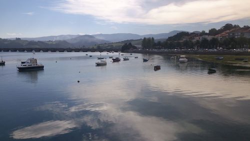 Sailboats in marina