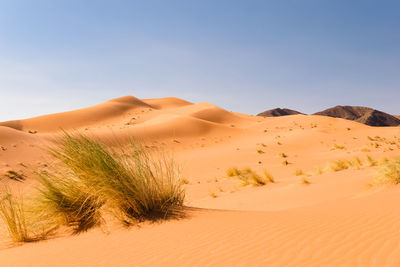 Scenic view of desert against blue sky