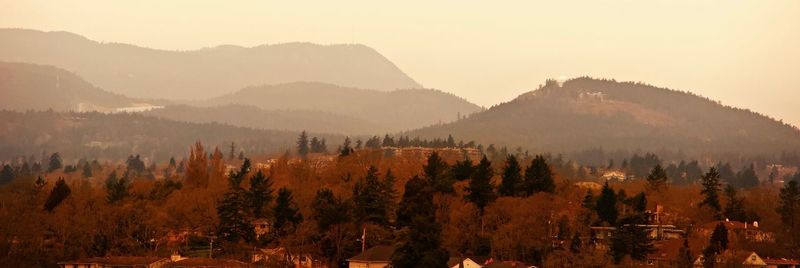 Panoramic shot of trees and mountains against sky