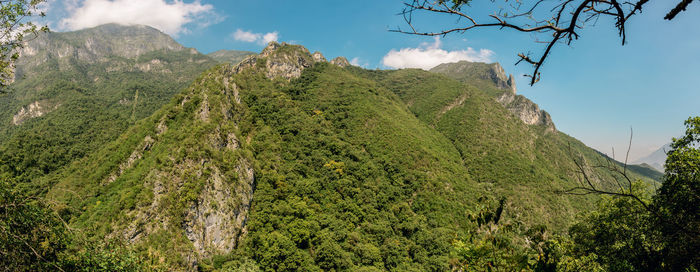 Low angle view of trees and mountains against sky